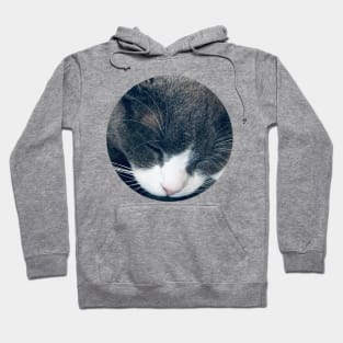 Sleeping Cat / Pictures of My Life Hoodie